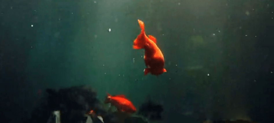 城市宣傳片，宣傳片制作，城市形象宣傳片