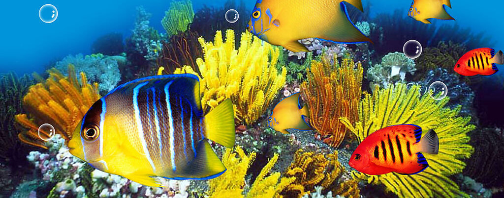 VR技術(shù)，虛擬現(xiàn)實